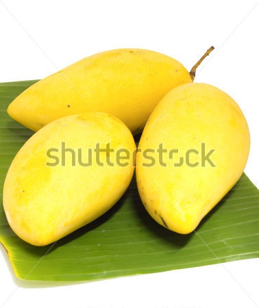 mango2nd.jpg