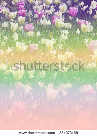stock-photo-tulips-color-nature-backgrond-234073168.jpg