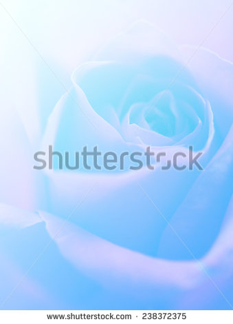 stock-photo-blue-color-nature-rose-single-flowers-backgrounds-238372375.jpg