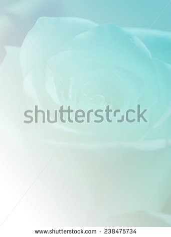 stock-photo-green-and-white-soft-color-backgrounds-nature-rose-238475734.jpg