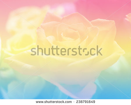 stock-photo-soft-color-backgrounds-blue-yellow-pink-nature-rose-238791649.jpg