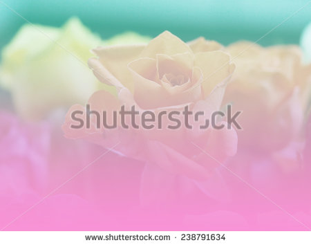 stock-photo-soft-color-pink-yellow-green-backgrounds-nature-rose-238791634.jpg