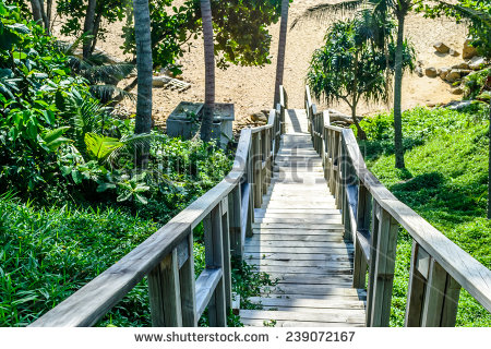 stock-photo-wooden-staircase-down-to-the-beautiful-and-relax-sandy-beach-239072167.jpg