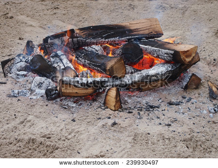 stock-photo-bonfire-nature-in-winter-239930497.jpg