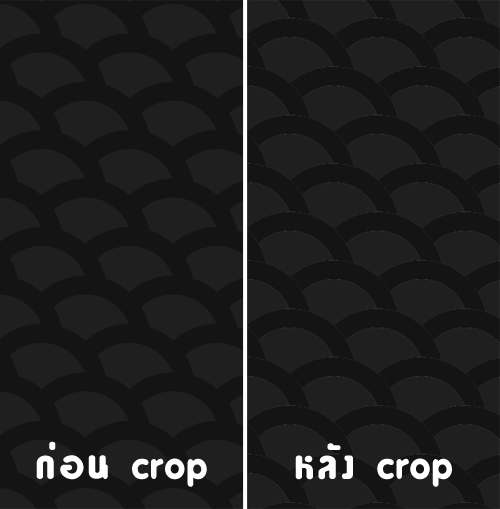 crop-problem.jpg