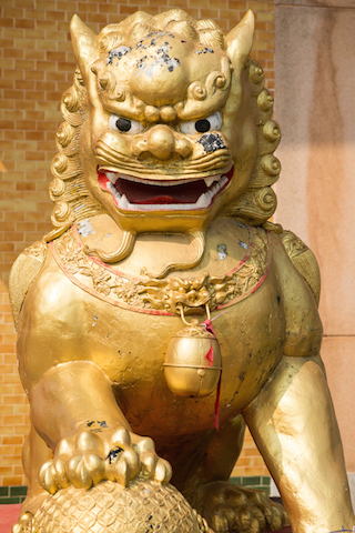 Gold Chinese Lion Statue.jpg