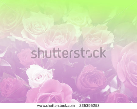 stock-photo-green-and-pink-soft-color-backgrounds-natural-single-rose-235395253.jpg