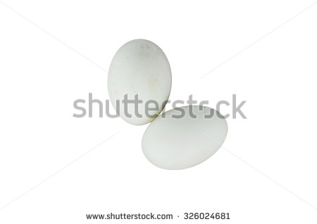 stock-photo-duck-eggs-on-white-background-326024681.jpg