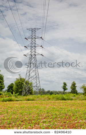 stock-photo-high-volt-electric-line-ran-across-early-grow-corn-field-in-rural-of-thailand-82496410.jpg