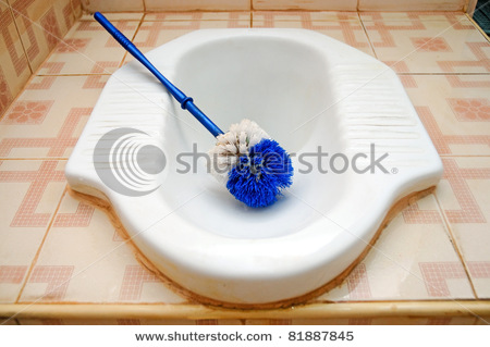 stock-photo-ceramic-lavatory-with-blue-cleaning-brush-on-tiled-floor-81887845.jpg