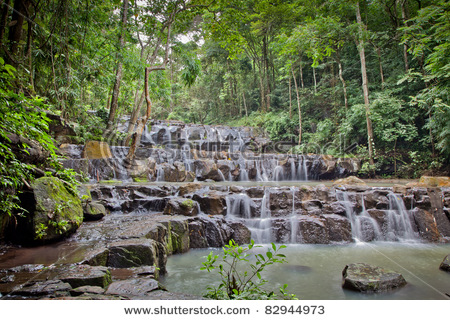 stock-photo-three-step-nature-fall-in-forest-saraburi-thailand-82944973.jpg