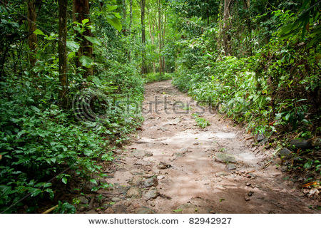 stock-photo-vintage-stone-road-to-the-forest-saraburi-thailand-82942927.jpg