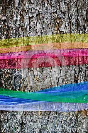 tree-bark-cloth-wrapped-around-31409641.jpg